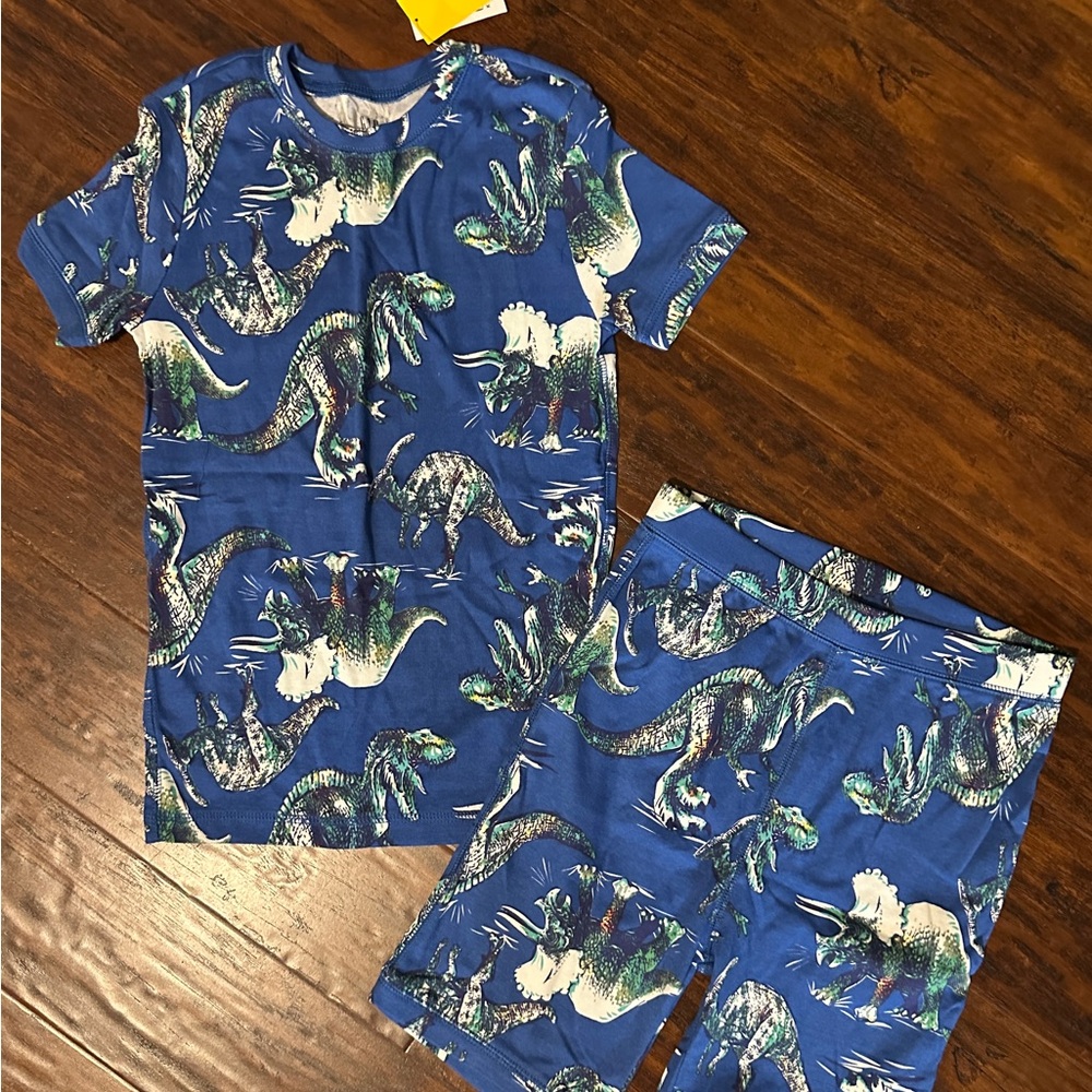 NWT GapKids dinosaur boy pajamas, 12